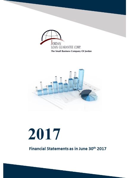 Financial Statements as at 30 June 2017