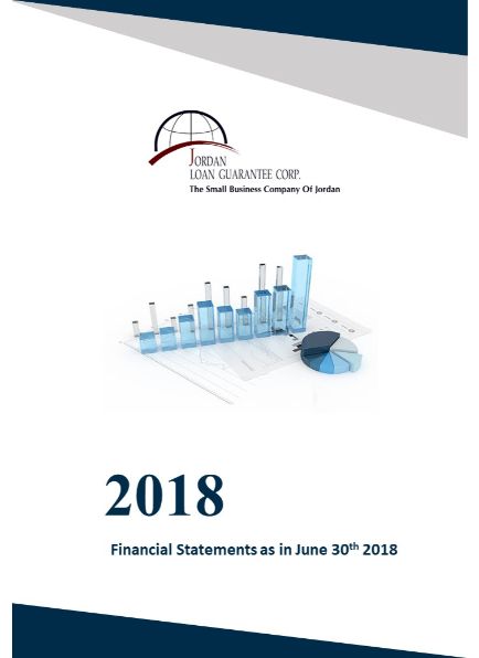 Financial Statements as at 30 June 2018